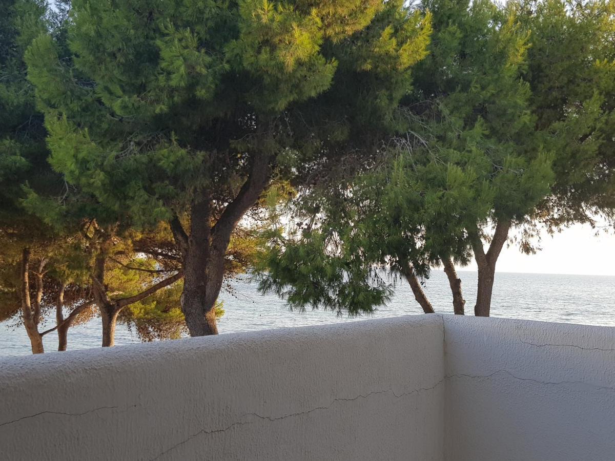 Appartamento La Caletta غالّيبولي المظهر الخارجي الصورة